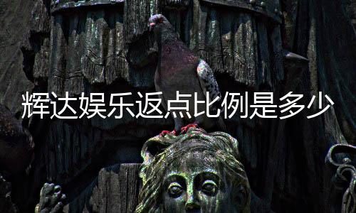 辉达娱乐返点比例是多少？最新返点政策详解