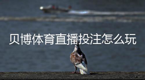 贝博体育直播投注怎么玩？新手入门、玩法规则与实战技巧全攻略
