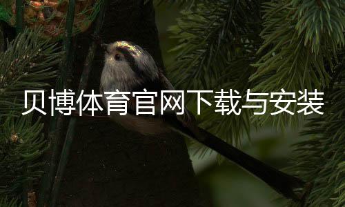 贝博体育官网下载与安装教程:官网入口、安卓iOS安装步骤及常见问题