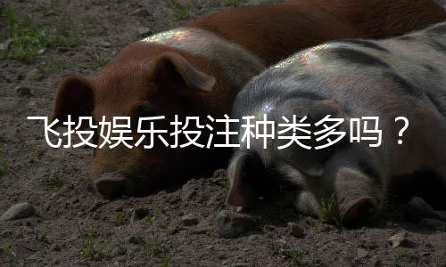 飞投娱乐投注种类多吗?全面解析平台热门游戏与特色玩法