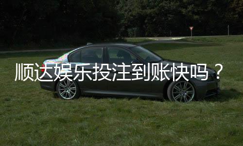 顺达娱乐投注到账快吗?实测3分钟极速到账体验分享