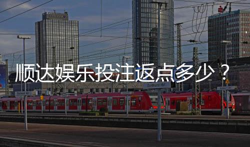 顺达娱乐投注返点多少？揭秘高返水活动与实战技巧
