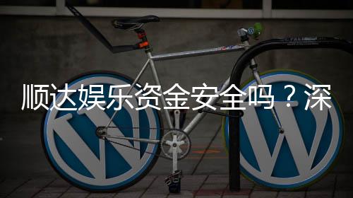 顺达娱乐资金安全吗?深度解析平台保障措施与玩家实测反馈