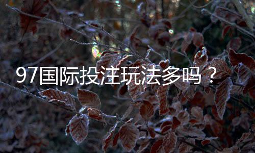 97国际投注玩法多吗？尽在这里揭晓!