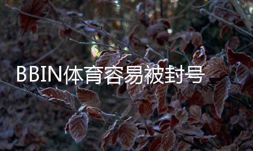 BBIN体育容易被封号吗?封号原因、风险识别与防封实用攻略