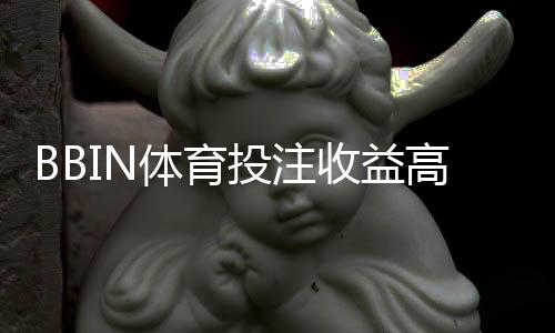 BBIN体育投注收益高吗?新手必看:回报、风险与盈利策略解析