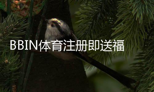 BBIN体育注册即送福利怎么领取?新手注册步骤、优惠种类与注意事项全解析
