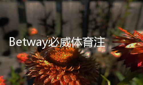 Betway必威体育注册与开户全流程：新手一步步注册、实名认证与首次充值指南