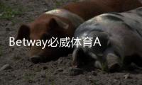 Betway必威体育APP官方下载通道攻略：官方直链、安全安装与常见问题一览