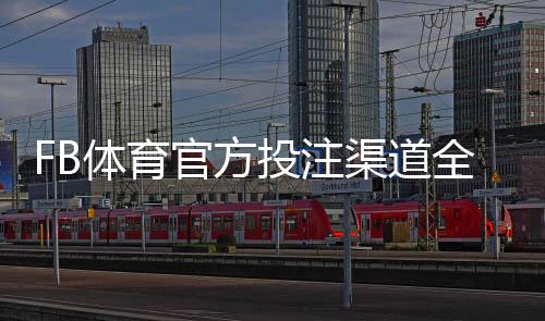 FB体育官方投注渠道全解析:登录入口、账号注册与安全充值指南