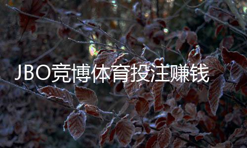 JBO竞博体育投注赚钱吗？真实评测、盈利可能与风险控制全解析
