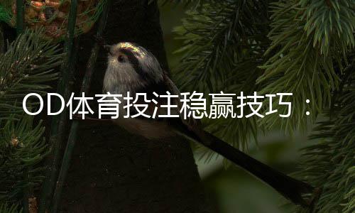 OD体育投注稳赢技巧:新手必看实战攻略与风险管理
