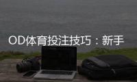 OD体育投注技巧：新手到进阶的必学投注策略与风险管理全攻略