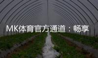 MK体育官方通道：畅享顶级赛事与极致投注体验
