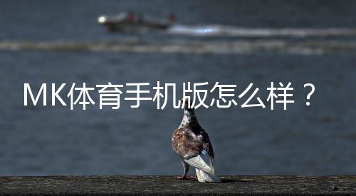 MK体育手机版怎么样？资深玩家实测体验与使用攻略分享