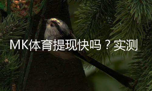 MK体育提现快吗?实测到账速度与提现技巧分享