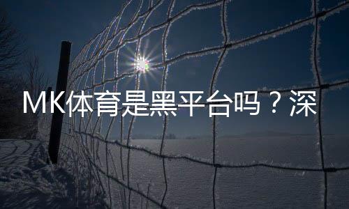 MK体育是黑平台吗?深度解析其安全性及玩家真实评价