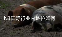 N1国际行业内地位如何？行业排名、竞争优势与未来前景深度解析