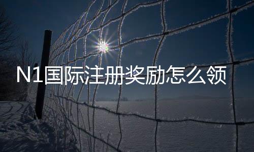 N1国际注册奖励怎么领取？新手领取流程、优惠类型与注意事项详解