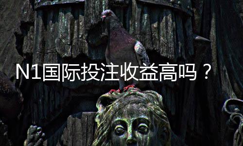 N1国际投注收益高吗?真实收益分析、风险评估与提升盈利的实用策略