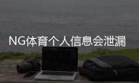 NG体育个人信息会泄漏吗？隐私风险评估与防护全攻略