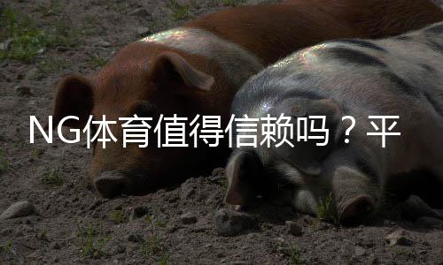NG体育值得信赖吗?平台资质、支付安全与用户口碑全面评测