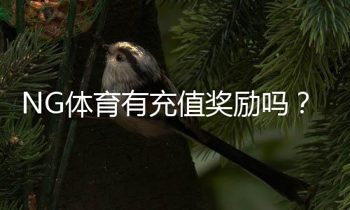 NG体育有充值奖励吗?充值优惠种类、领取条件与实操攻略
