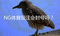 NG体育投注会封号吗？官方规则、常见封号原因与防封技巧