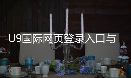 U9国际网页登录入口与注册教程:新手登录步骤、安全设置与常见问题解决