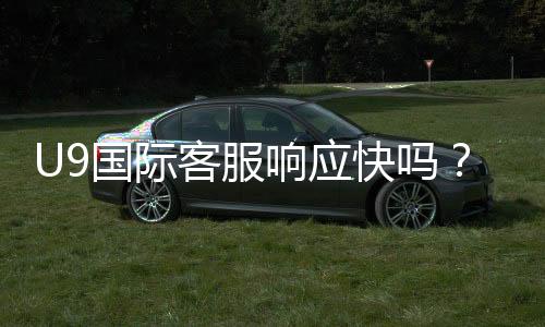 U9国际客服响应快吗?响应速度、处理效率与快速联系攻略全解析
