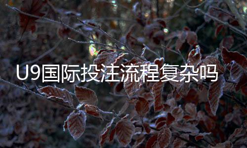 U9国际投注流程复杂吗?详解注册、充值、下注全流程与常见问题