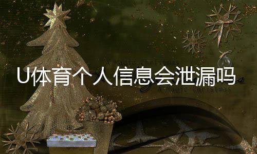 U体育个人信息会泄漏吗？深度解析平台安全性与防护措施