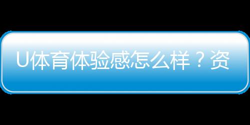 U体育体验感怎么样?资深玩家分享真实使用感受与技巧
