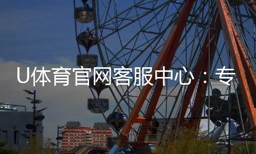 U体育官网客服中心:专业服务与高效问题解决指南