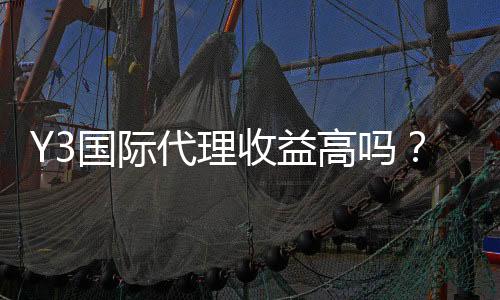 Y3国际代理收益高吗?真实收益解析与代理赚钱攻略