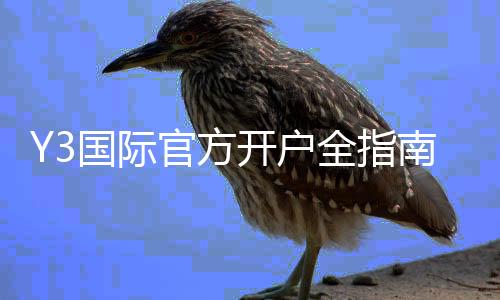 Y3国际官方开户全指南:新手注册流程、实名认证与常见问题详解