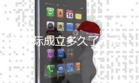Y3国际成立多久了？成立时间、发展历程与可靠性全面解析