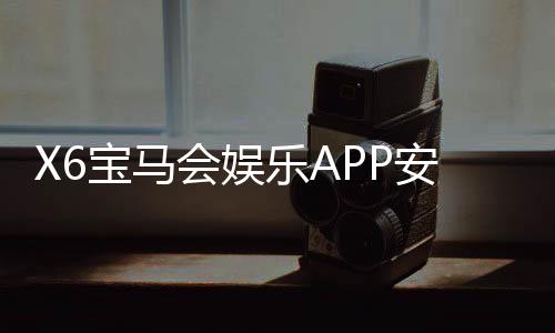 X6宝马会娱乐APP安全性如何?深度解析其资金保障与数据防护措施