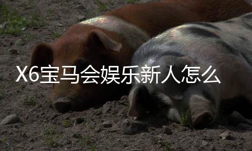 X6宝马会娱乐新人怎么领福利？超全福利领取攻略助你轻松开局