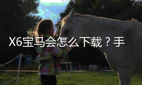 X6宝马会怎么下载?手把手教你快速安装畅玩攻略