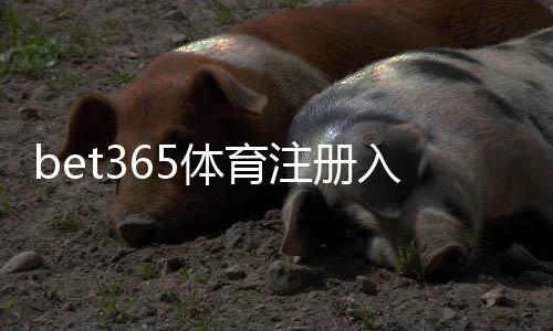 bet365体育注册入口怎么找?新手注册步骤、账户验证与常见问题一站式指南